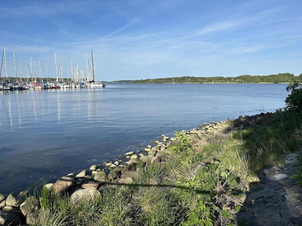 Urlaub In Einer Historischen Wassermuehle An Der Trave 吕贝克 外观 照片